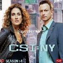 մ  CSI Newyork Season 3 : 䢤ջȹ   3 [6 DVD Master]
