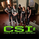  CSI : Las Vegas Season 11 䢤ջȹ  11 (DVD 6 ) ѧ診 Ѻ