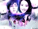 DVD  Snow Flower/çѡç [ҡ] մ 3 蹨