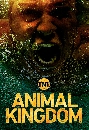 dvd   Ѻ СŪ ͺ  3 Animal Kingdom Season 3 dvd 4 蹨