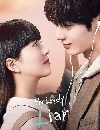 DVD ซีรีย์เกาหลี : My Lovely Liar (2023) dvd 4 แผ่นจบ